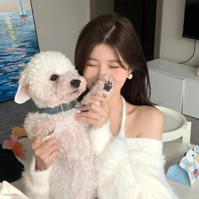 当樱花盛开 海报